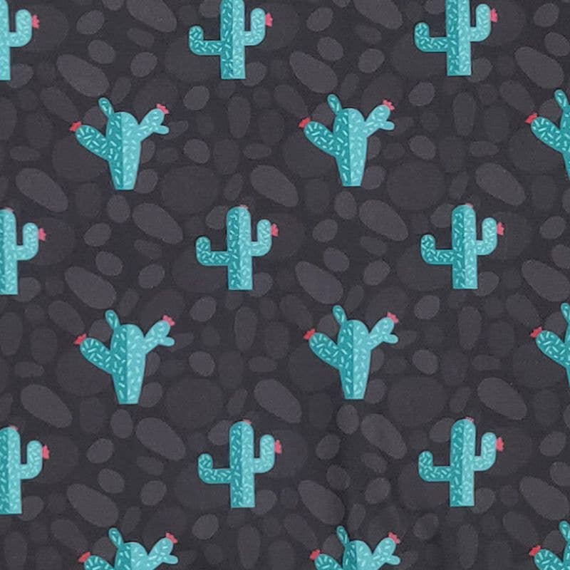 Midnight Cactus Boy Romper